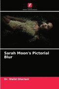 Sarah Moon's Pictorial Blur