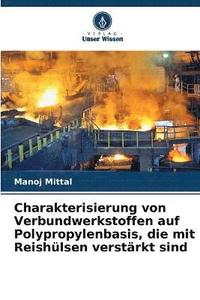 Charakterisierung von Verbundwerkstoffen auf Polypropylenbasis, die mit Reishulsen verstarkt sind