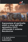 Espressione di particelle simili a virus dell'afta epizootica (VLP) utilizzando il sistema Baculovirus
