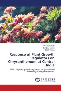 Response of Plant Growth Regulators on Chrysanthemum at Central India