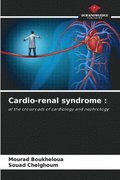 Cardio-renal syndrome