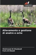 Allevamento e gestione di anatre e oche