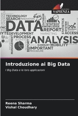 Reena Sharma, Vishal Choudhary - Introduzione ai Big Data, Häftad