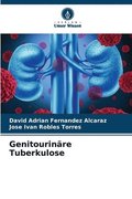 Genitourinre Tuberkulose