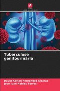 Tuberculose genitourinria