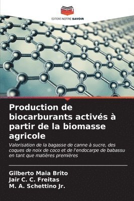 Gilberto Maia Brito, Jair C C Freitas, M A Schettino Jr - Production de biocarburants activés à partir de la biomasse agricole, Häftad. Tillgänglighet: Lägg i varukorg