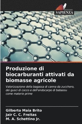 Gilberto Maia Brito, Jair C C Freitas, M A Schettino Jr - Produzione di biocarburanti attivati da biomasse agricole, Häftad. Tillgänglighet: Lägg i varukorg