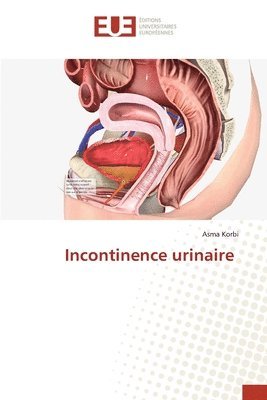 Asma Korbi - Incontinence urinaire, Häftad