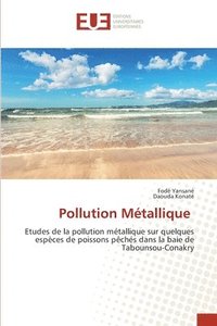 Pollution Mtallique