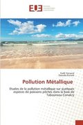 Pollution Mtallique