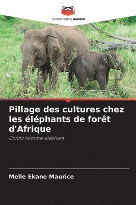 Melle Ekane Maurice - Pillage des cultures chez les éléphants de forêt d'Afrique, Häftad