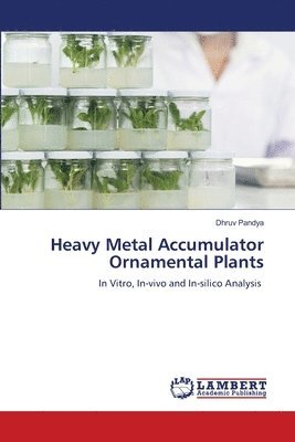 Dhruv Pandya - Heavy Metal Accumulator Ornamental Plants, Häftad