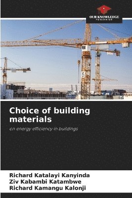 Richard Katalayi Kanyinda, Ziv Kabambi Katambwe, Richard Kamangu Kalonji - Choice of building materials, Häftad. Tillgänglighet: Lägg i varukorg