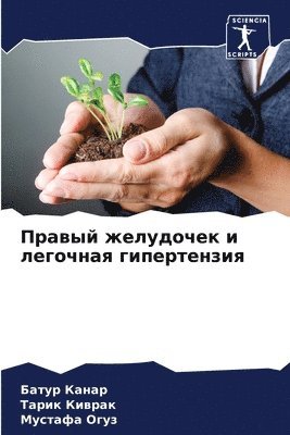 Батур Канар, Тарик Киврак, Мустафа Огуз - Правый желудочек и легочная гипертензия, Häftad. Tillgänglighet: Lägg i varukorg