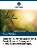 Wissen, Einstellungen und Praktiken in Bezug auf H1N1 (Schweinegrippe)