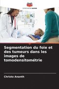 Segmentation du foie et des tumeurs dans les images de tomodensitomtrie