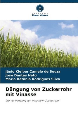 Jânio Kleiber Camelo de Souza, José Dantas Neto, Maria Betânia Rodrigues Silva - Düngung von Zuckerrohr mit Vinasse, Häftad