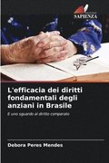 L'efficacia dei diritti fondamentali degli anziani in Brasile