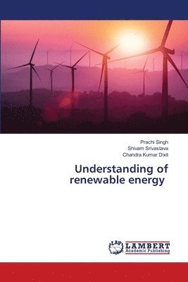 Prachi Singh, Shivam Srivastava, Chandra Kumar Dixit - Understanding of renewable energy, Häftad