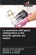 posizione dell'apice radiografico e del forame apicale nei molari