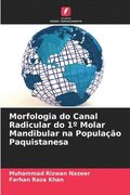 Morfologia do Canal Radicular do 1� Molar Mandibular na Popula��o Paquistanesa