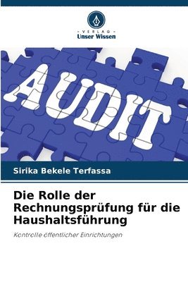 Sirika Bekele Terfassa - Rolle der Rechnungsprüfung für die Haushaltsführung, Häftad