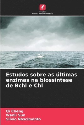 Qi Cheng, Wenli Sun, Silvio Nascimento - Estudos sobre as últimas enzimas na biossíntese de Bchl e Chl, Häftad