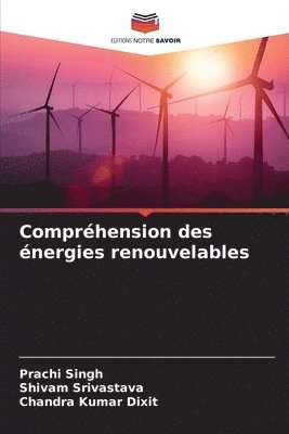 Prachi Singh, Shivam Srivastava, Chandra Kumar Dixit - Compréhension des énergies renouvelables, Häftad