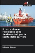 curriculum e l'ambiente sono fondamentali per la scelta della carriera