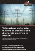 Valutazione delle aste di linee di trasmissione di energia elettrica in Brasile