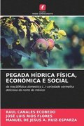 Pegada H�drica F�sica, Econ�mica E Social