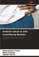 Mahamadou Traore, Bilaly Sissoko, Alkadri Diarra - Ureteral calculi at CHU Luxembourg Bamako, Häftad
