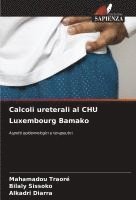 Mahamadou Traore, Bilaly Sissoko, Alkadri Diarra - Calcoli ureterali al CHU Luxembourg Bamako, Häftad