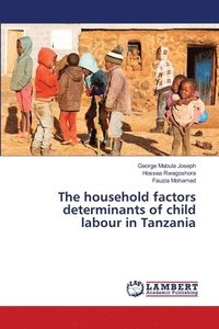 household factors determinants of child labour in Tanzania