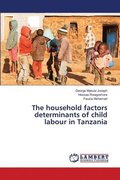 household factors determinants of child labour in Tanzania