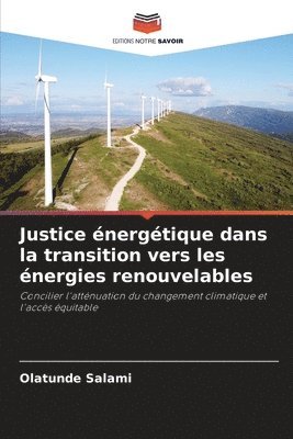 Olatunde Salami - Justice énergétique dans la transition vers les énergies renouvelables, Häftad