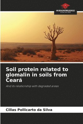 Cillas Pollicarto Da Silva - Soil protein related to glomalin in soils from Ceará, Häftad