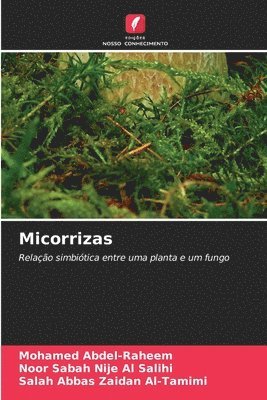 Micorrizas