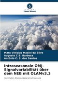 Intraseasonale OMJ-Signalvariabilität über dem NEB mit OLAMv3.3
