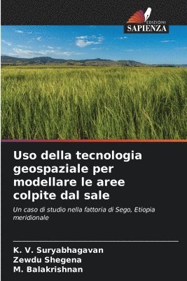 Uso della tecnologia geospaziale per modellare le aree colpite dal sale