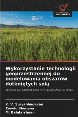 Wykorzystanie technologii geoprzestrzennej do modelowania obszarów dotkniętych solą