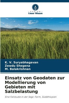 Einsatz von Geodaten zur Modellierung von Gebieten mit Salzbelastung