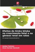 Efeitos do Ginko biloba no crescimento fetal e na g�nese renal em ratos