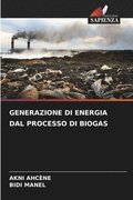 Generazione Di Energia Dal Processo Di Biogas