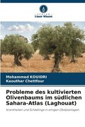 Probleme des kultivierten Olivenbaums im s�dlichen Sahara-Atlas (Laghouat)