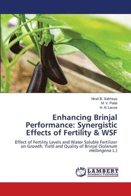 Nirali B Sabhaya, M V Patel, H N Leuva - Enhancing Brinjal Performance, Häftad