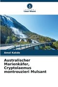 Australischer Marienk�fer, Cryptolaemus montrouzieri Mulsant