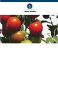 Tomatenveredelung f�r verbesserte Ertr�ge und Qualit�t in Tansania