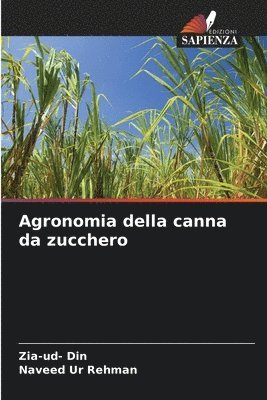 Zia-Ud- Din, Naveed Ur Rehman - Agronomia della canna da zucchero, Häftad