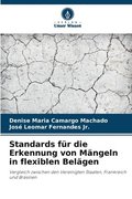 Standards fr die Erkennung von Mngeln in flexiblen Belgen